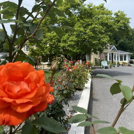 Copperfield House Bed and Breakfast Cashel  Exterior foto